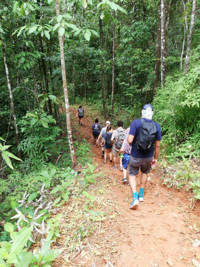 Hacienda Mil Bellezas - Private 40Ha Jungle Reserve كيبوس المظهر الخارجي الصورة