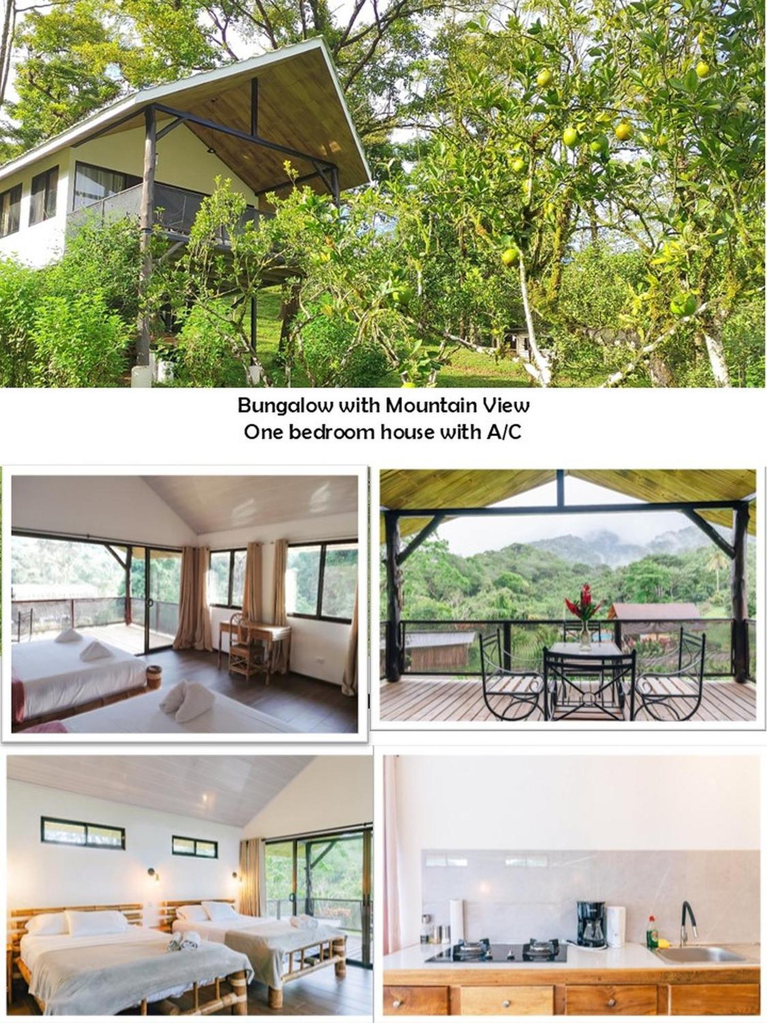 Hacienda Mil Bellezas - Private 40Ha Jungle Reserve كيبوس المظهر الخارجي الصورة