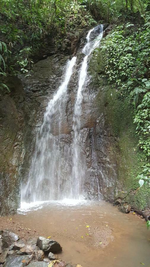 Hacienda Mil Bellezas - Private 40Ha Jungle Reserve كيبوس المظهر الخارجي الصورة